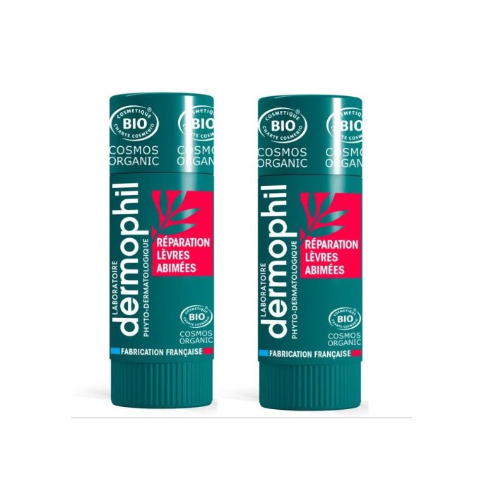 Dermophil stick lèvres abîmés 4 g