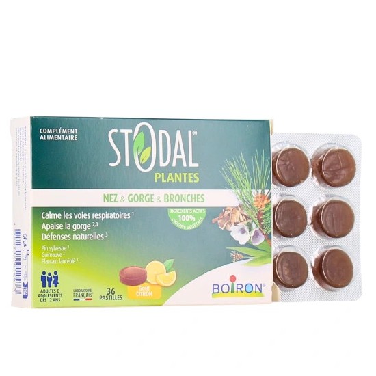 STODAL PLANTES PASTI CITRON B/36