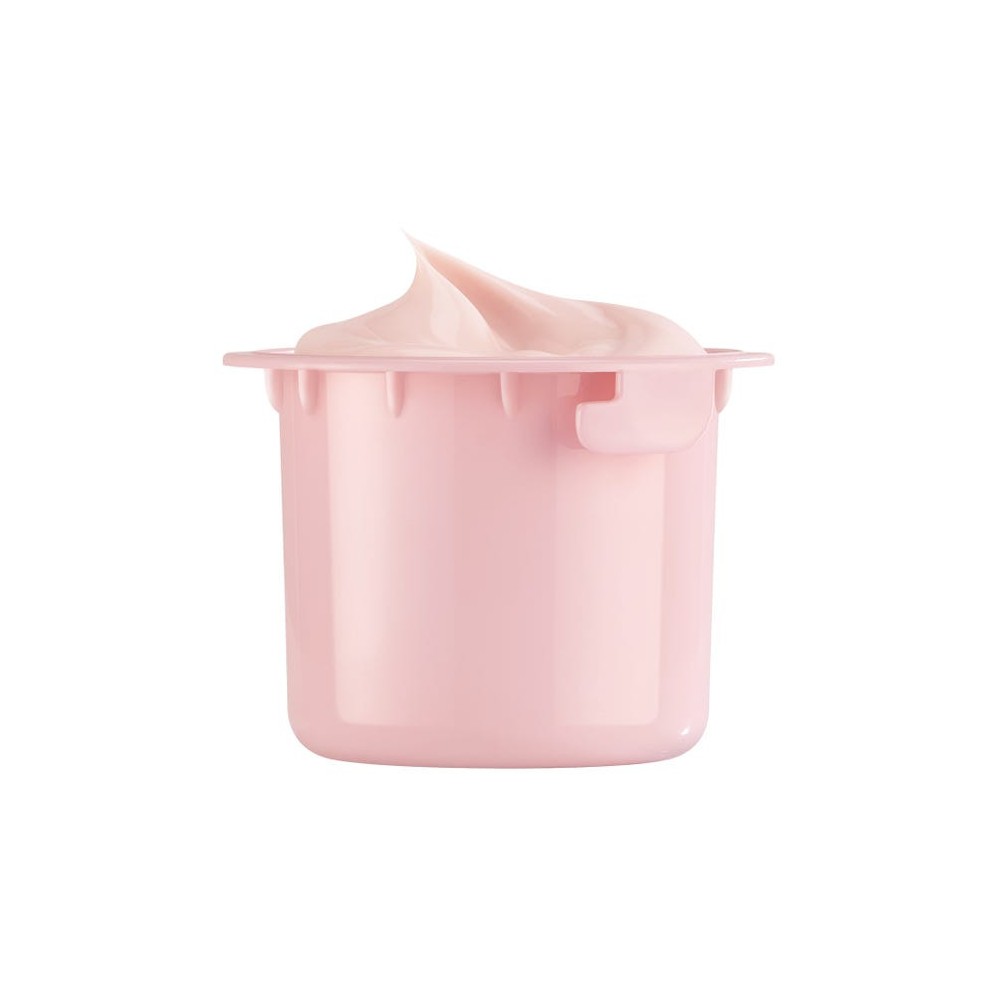 Melvita crème hydratante repulpante Source de Rose