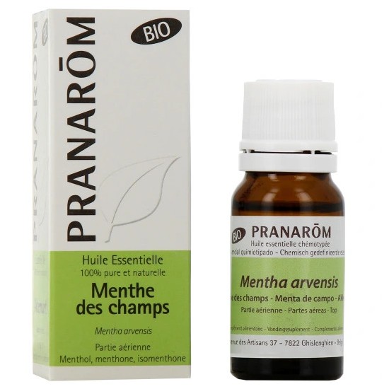 Pranarom huile essentielle menthe des champs 10 ml