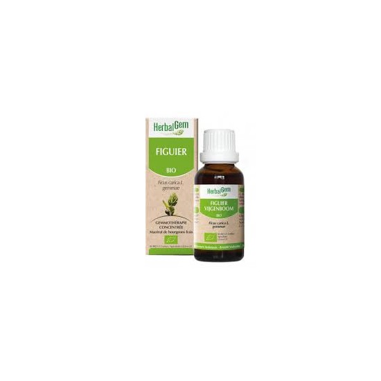 Herbalgem Figuier Macérat Bio 30 ml