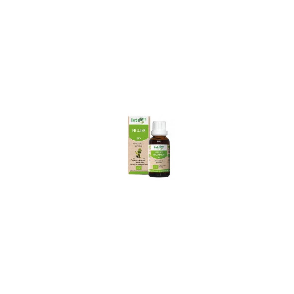 Herbalgem Figuier Macérat Bio 30 ml