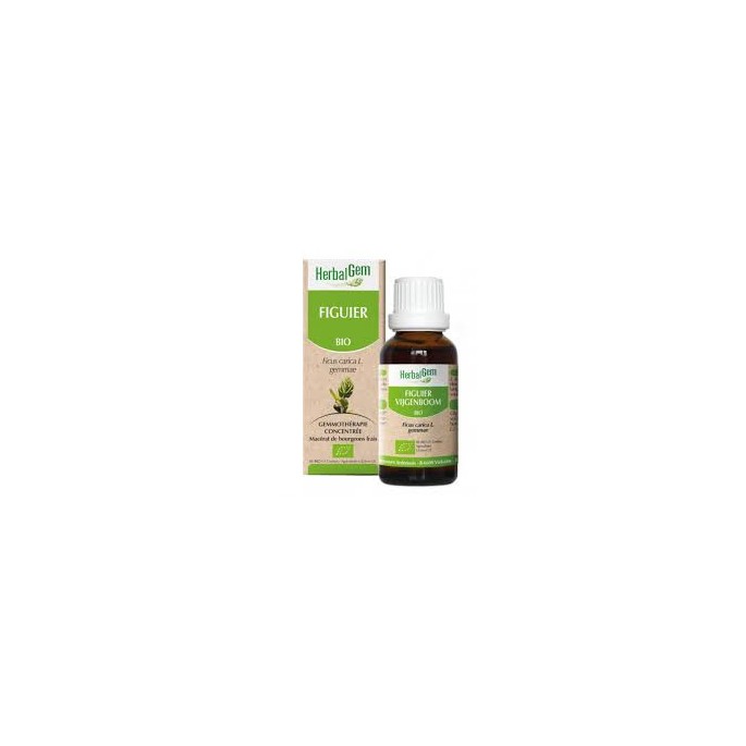 Herbalgem Figuier Macérat Bio 30 ml