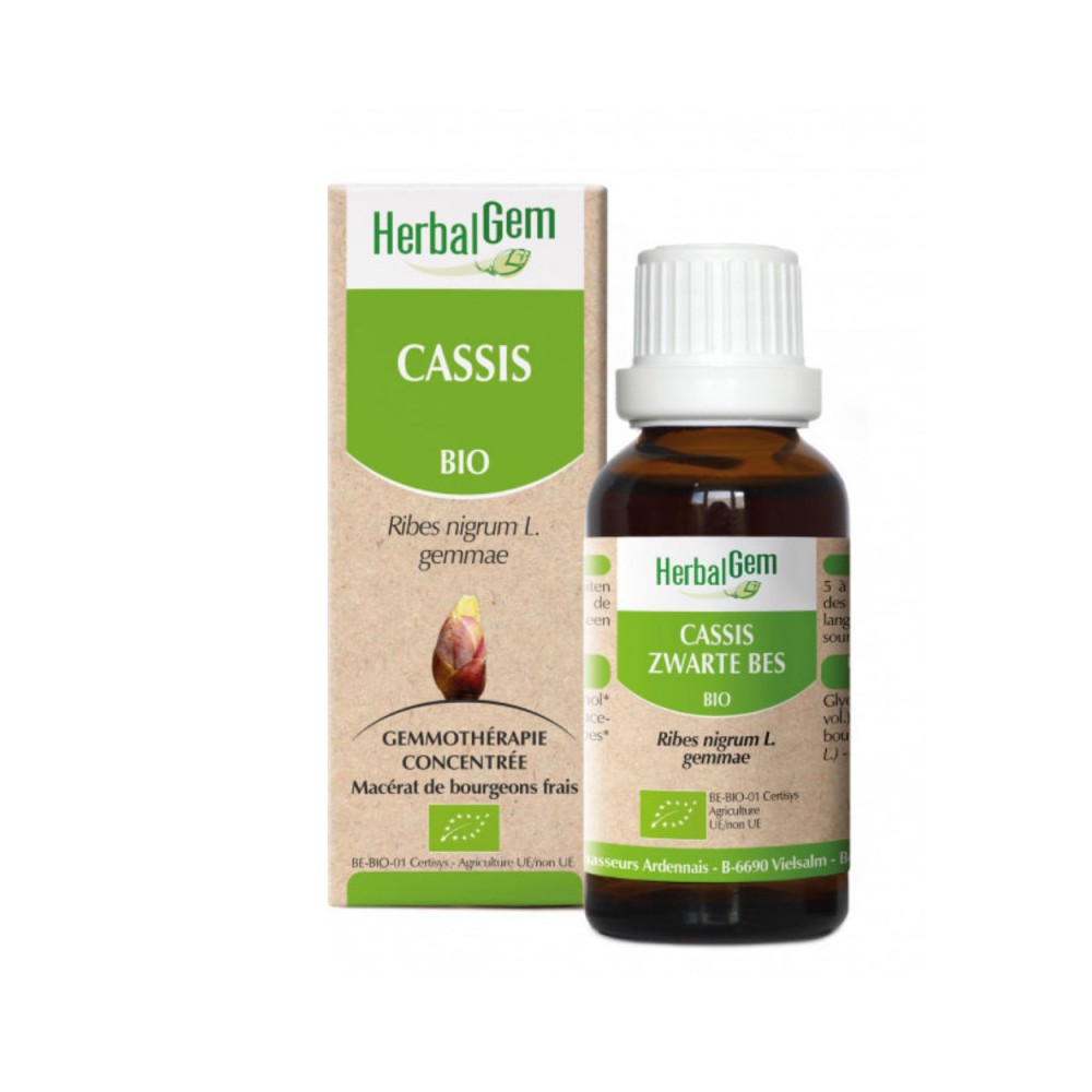 Herbalgem macérat de cassis bio
