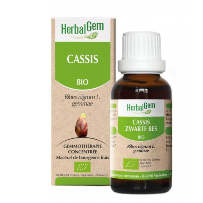 Herbalgem macérat de cassis bio