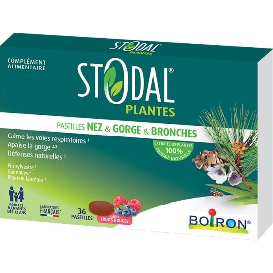 STODAL PLANTES PASTI FRUITS ROUGES B/36