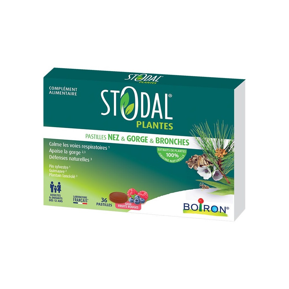 Boiron Stodal Plantes Fruits Rouges 36 Pastilles