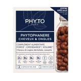 Phyto phytophanère duo 240 capsules