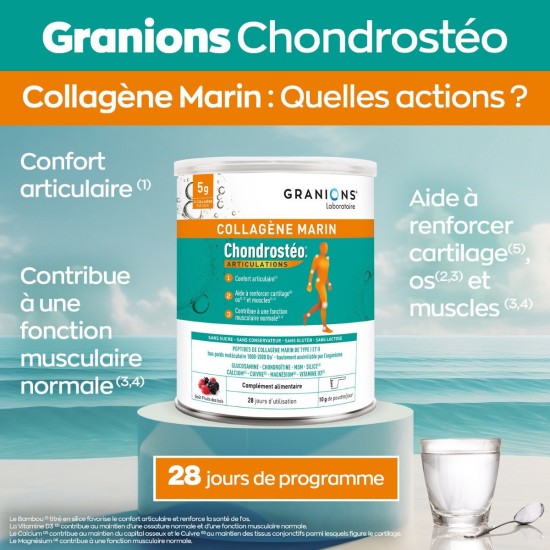 EA Pharma Chondrosteo Collagène 280 g