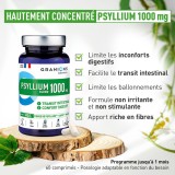 Granions psyllium 1 g 60 gélules