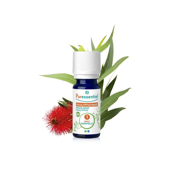 Puressentiel huile essentielle eucalyptus radié bio 10 ml