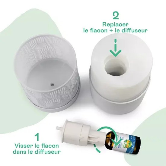 Naturactive diffuseur camélia