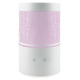Naturactive diffuseur camélia