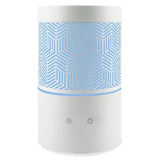 Naturactive diffuseur camélia