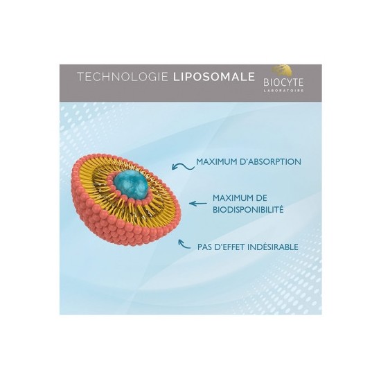 Biocyte Vitamine B12 Liposomal 30 gélules