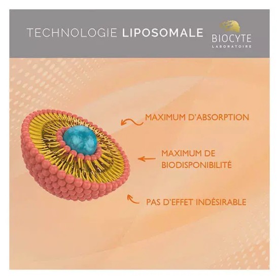 Biocyte Longevity Vitamine C Liposomée 90 gélules