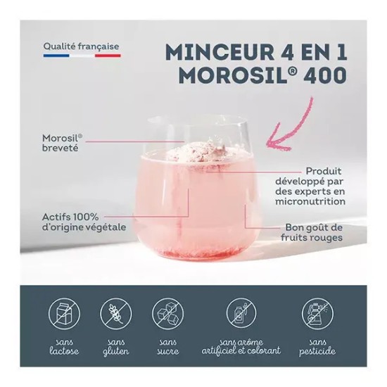 Nutrisanté Minceur 4 en 1 Morosil 240 g