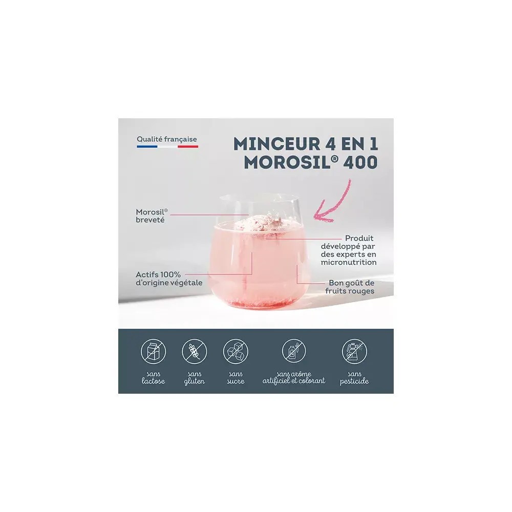Nutrisanté Minceur 4 en 1 Morosil 240 g