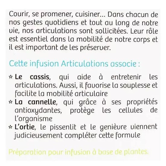 Nutrisante Tisane Bio Articulation 20 sachets