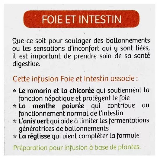 Nutrisanté tisane bio foie et intestin
