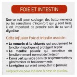 Nutrisanté tisane bio foie et intestin