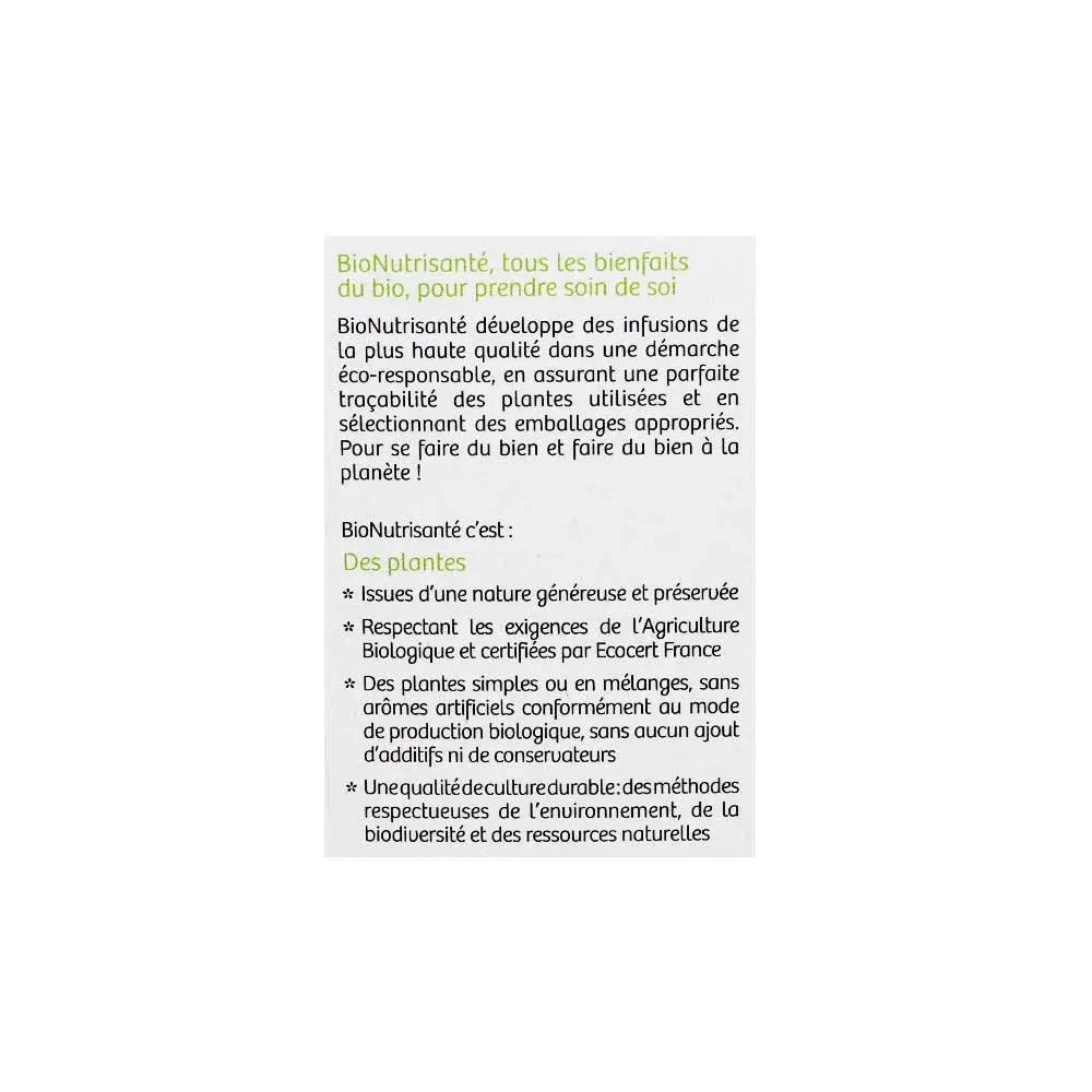Nutrisante tisane romarin