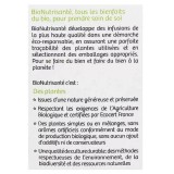 Nutrisante tisane romarin