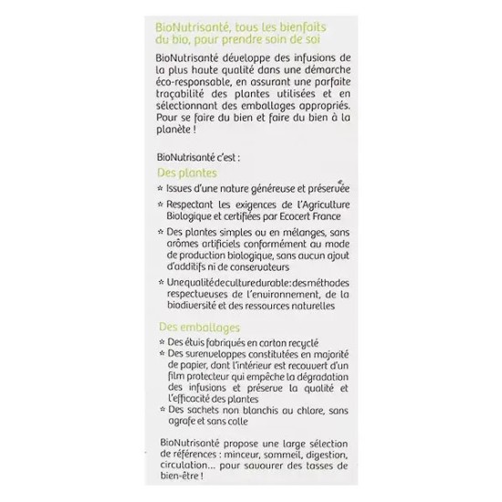 Nutrisanté Tisane Bio Thé Vert Menthe Nanah