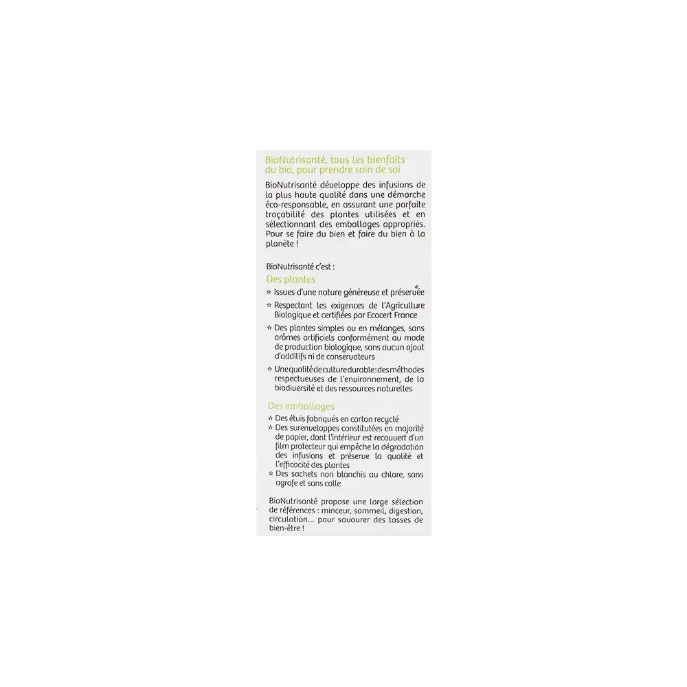 Nutrisanté Tisane Bio Thé Vert Menthe Nanah