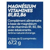 Nutrisanté Vitamines B1 B2 B6 + Magnésium