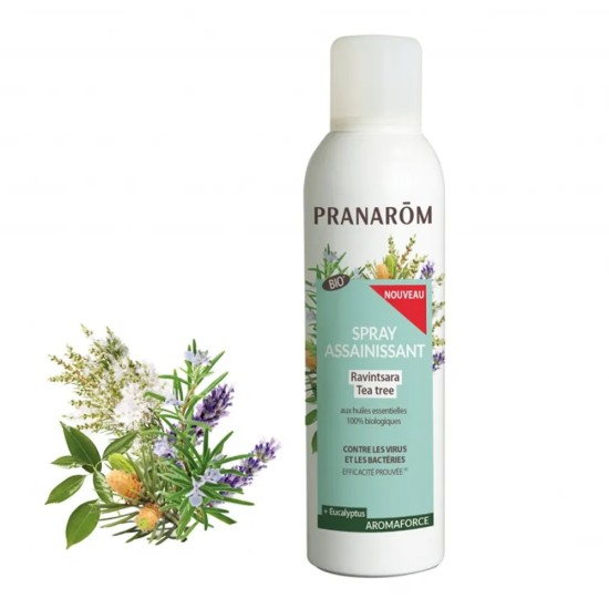 Pranarom Spray assainissant Ravintsara Tea Tree bio
