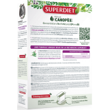 Superdiet Desmodium 20 Ampoules