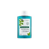 Klorane Shampooing Détox Menthe Aquatique 200 ml