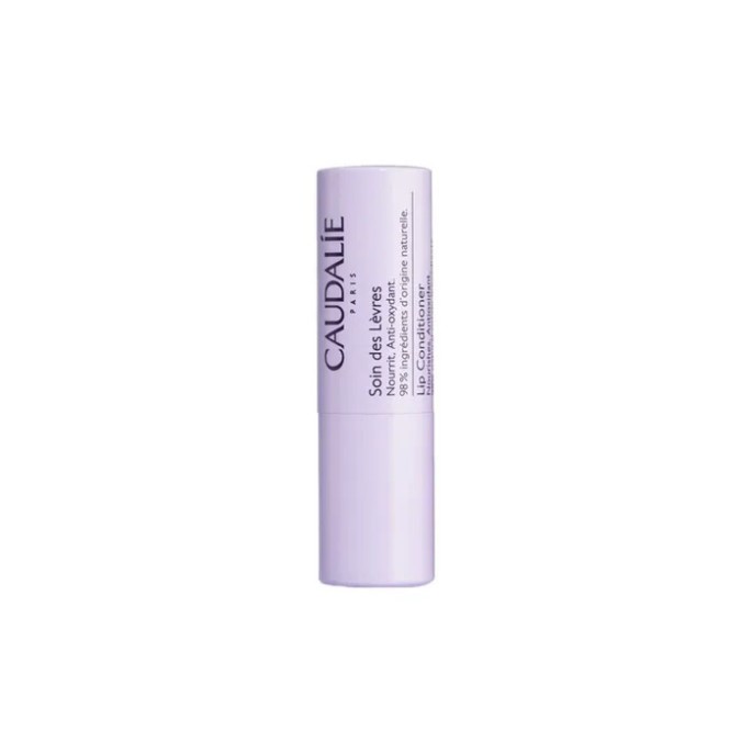 Caudalie stick lèvres 4 g