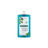 Klorane Shampooing Détox Menthe Aquatique