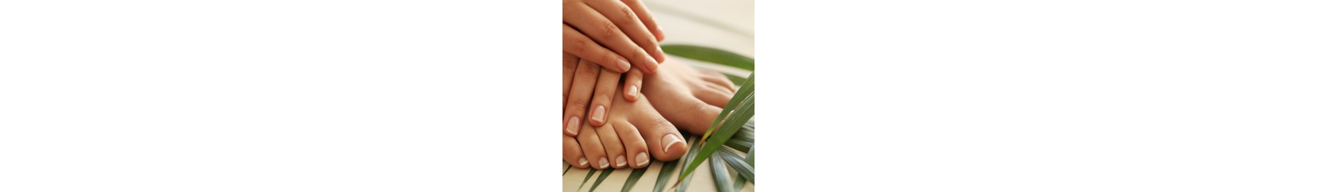 Pieds et Mains Bio