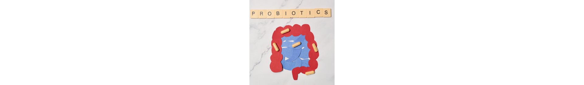 Probiotiques