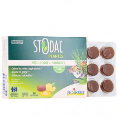 STODAL PLANTES PASTI CITRON B/36