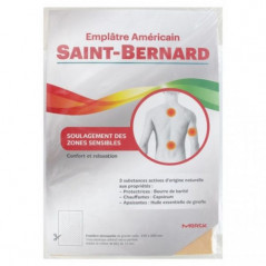 Saint Bernard Emplatre Américain 15x22 cm