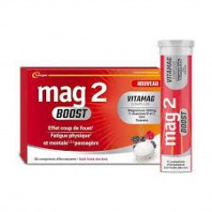 Mag 2 Boost Comprimés Effervescents